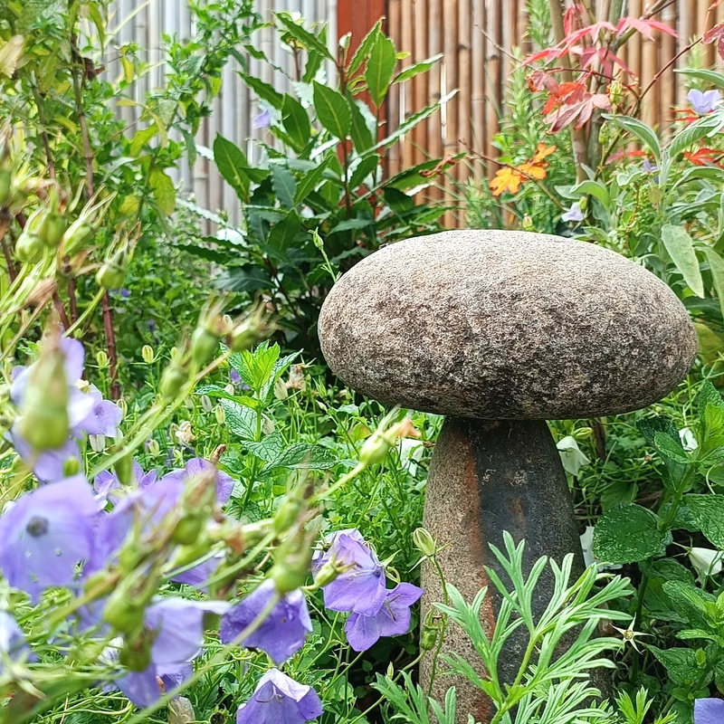 Pilz aus Flussstein