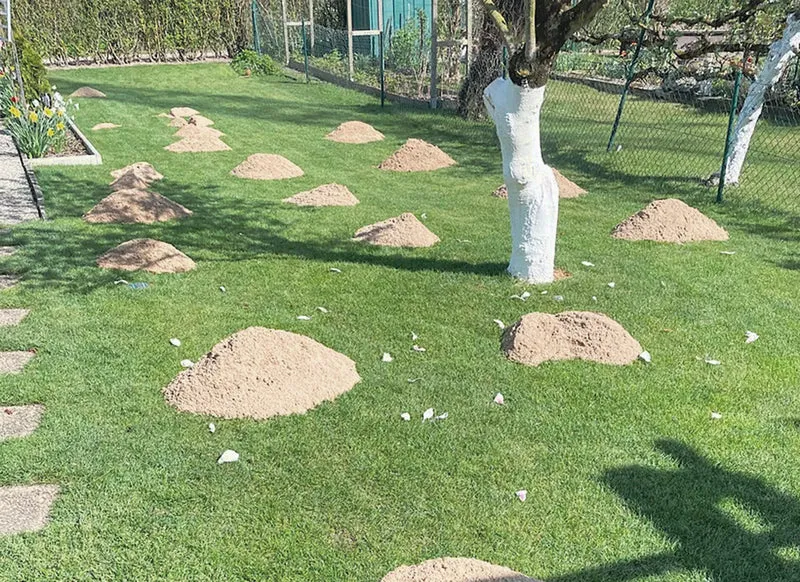 Rasensand gewaschen 0-2 mm