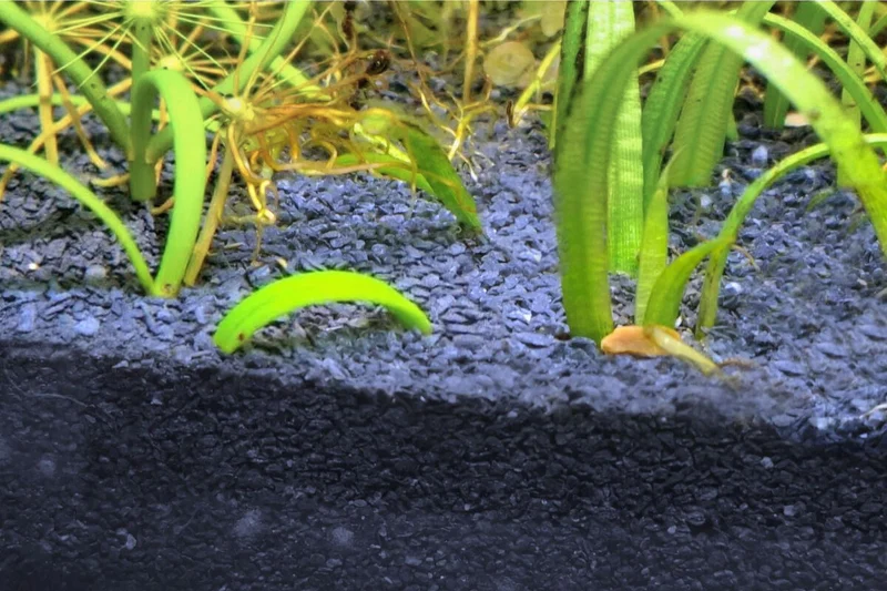 Fugensand schwarz