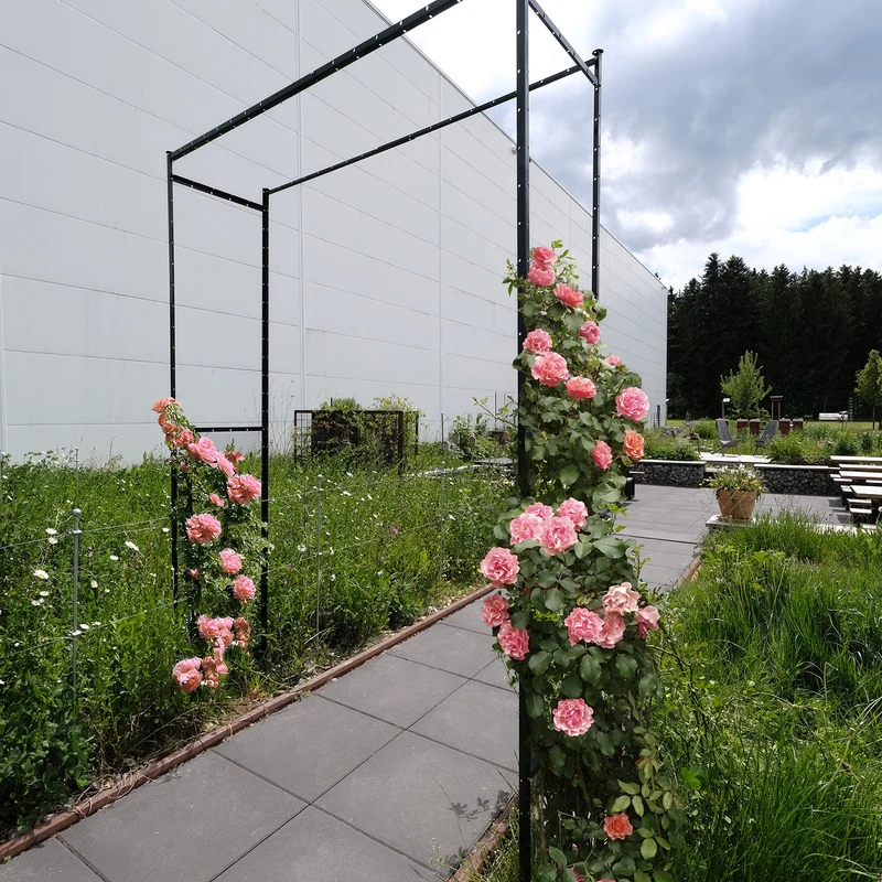 bellissa Torbogen TIMO:L80-150 cm x B42 x H180-230 cm, 1,5mm, verzinkter Stahl