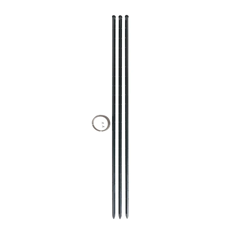 bellissa Himbeer & Brombeer Rankhilfe HIMBEERTRAUM:L300 x B3 x H180cm