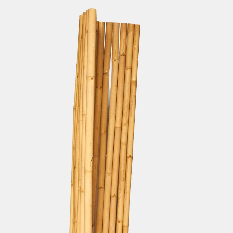 Bambus Rollzaun "Apus"