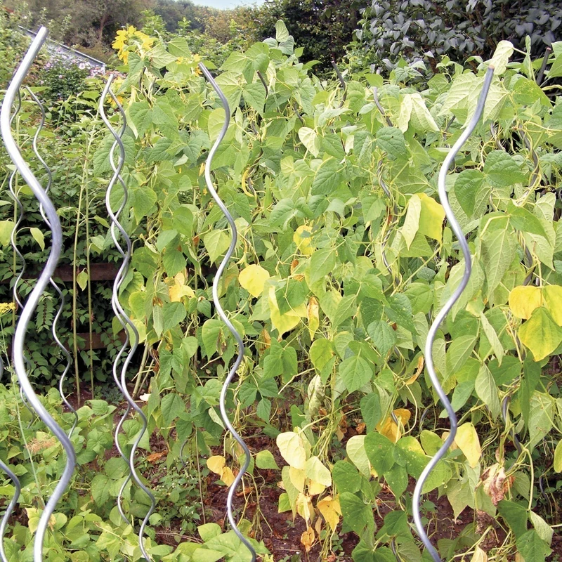 bellissa Aluspirale Tomatenspirale 170 cm Ø 12mm