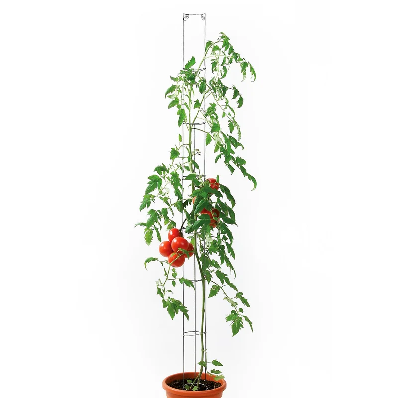 bellissa Tomatenturm Höhe 120 cm, Ø 9 cm