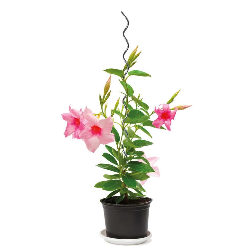 bellissa Pflanzenspirale 110 cm Ø 5 mm verzinkt