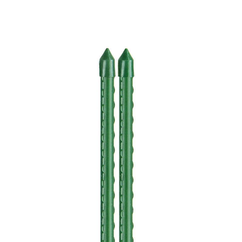 bellissa Pflanzstab 150 cm Ø 11mm