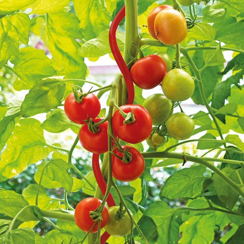 bellissa Tomatenspirale Colorata rot 110cm Ø 5mm