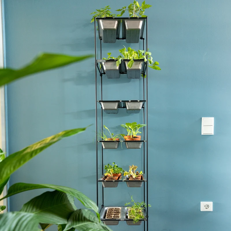 bellissa Vertikales Pflanzregal FILO 1 x 6 30 cm x 31 cm x 175 cm (L x B x H)