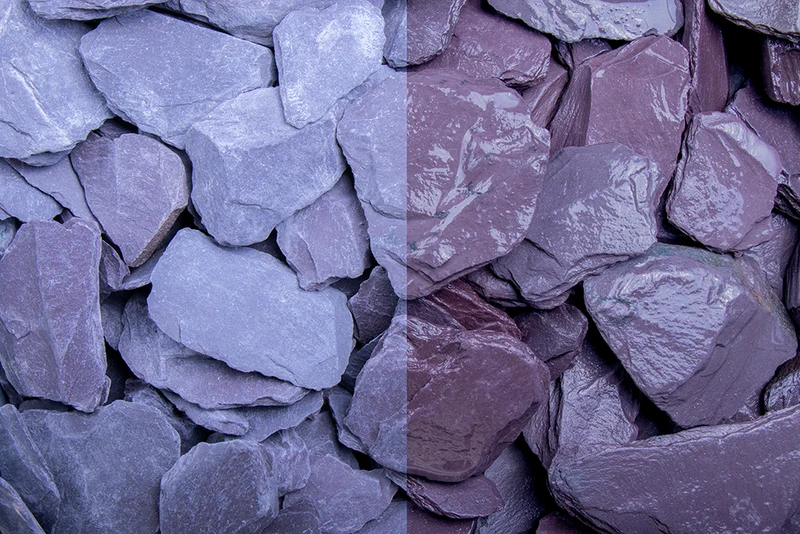 Canadian Slate lila, 30-60 mm