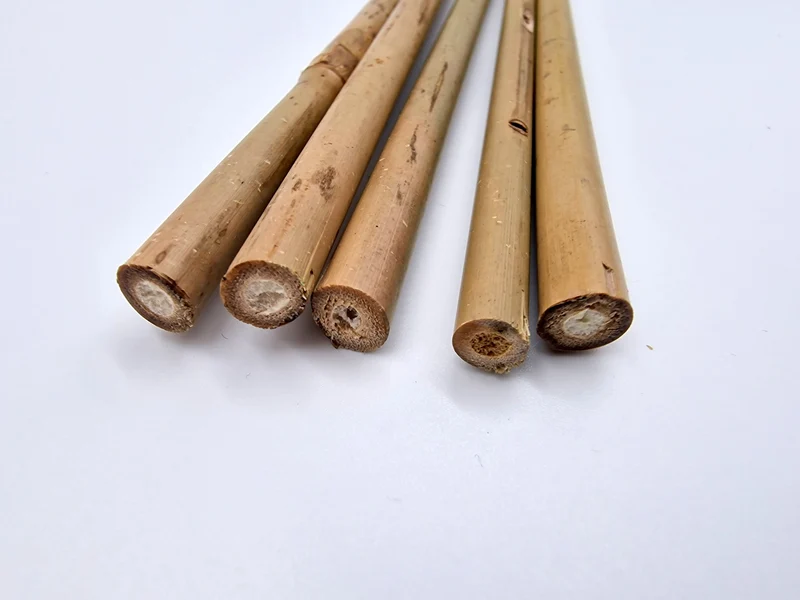 Tonkinstäbe ca. 120 cm Ø 15-17 mm Pflanzstäbe Rankstäbe Bambusstab Stange 20 Stück Braun