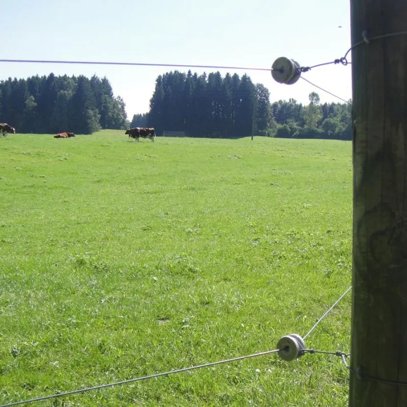 Porzellanrollen-Eckisolator - Weiß, 60 Stück