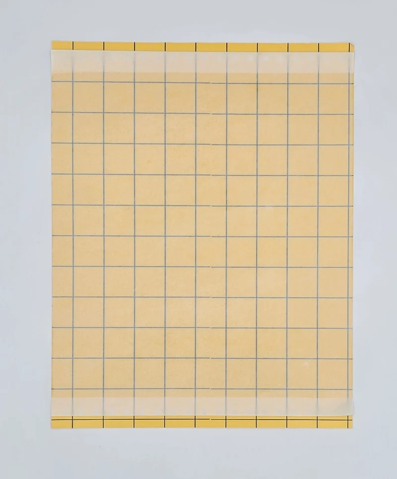 5x Gelbtafel XL 25x32 cm Gelbsticker Trauermücken Leimfalle Insektenfalle