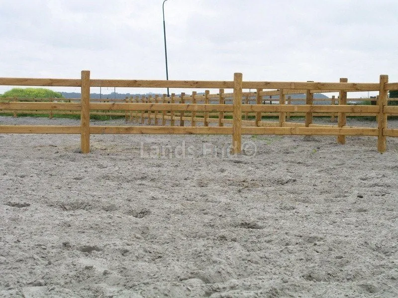 Economy - 3 Riegel