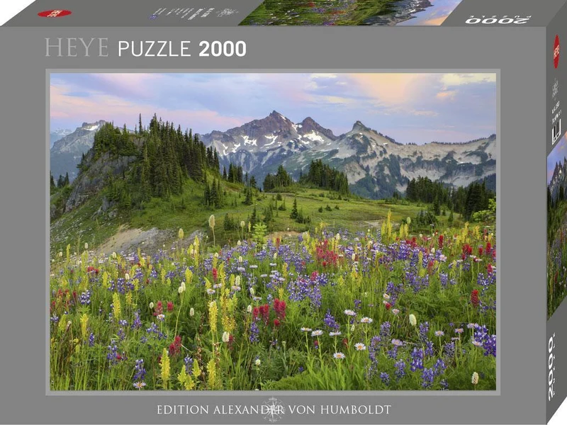 Tatoosh Mountains