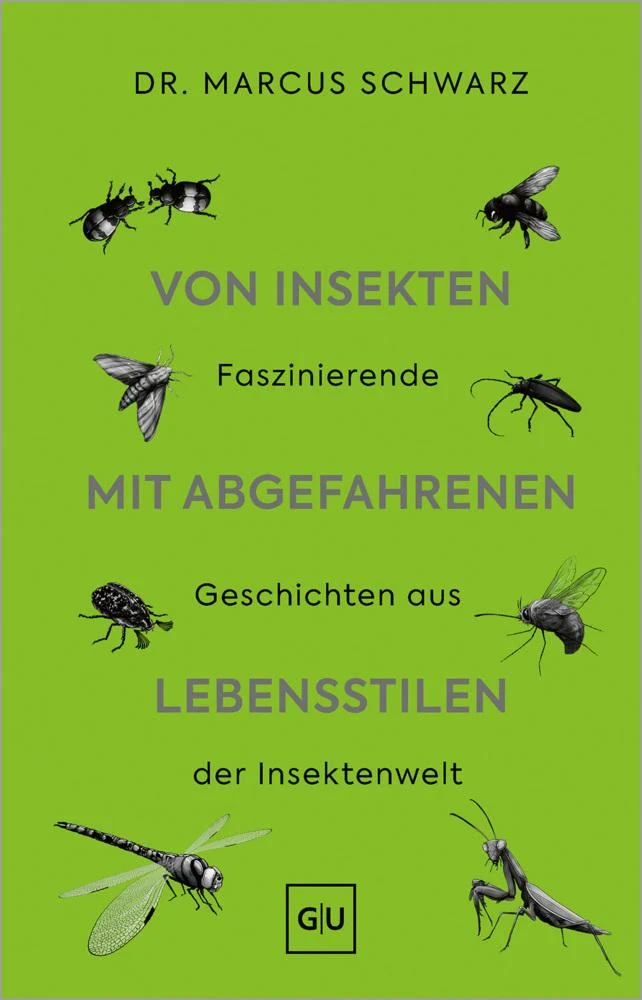 Von Insekten mit abgefahrenen Lebensstilen: Was du noch nicht über unsere Insekten wusstest – Faszinierende Einblicke in die Welt der Käfer, Fliegen & Schaben