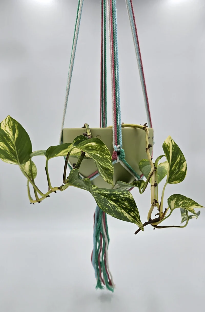Blumentopfhalter hängend Makramee bunt Pastellfarben Topfhalter Blumenampel