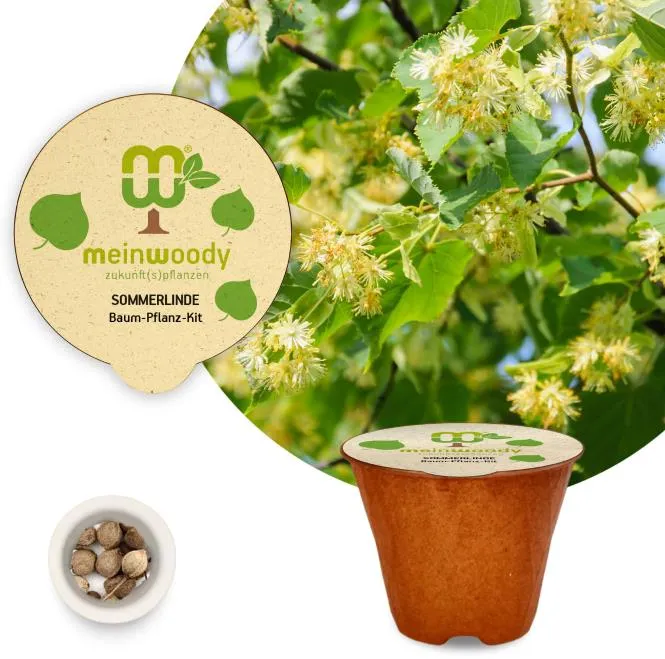 Sommerlinde Baum-Pflanz-Kit Pflanzkit Pflanzanleitung plastikfreier Pflanztopf Linde