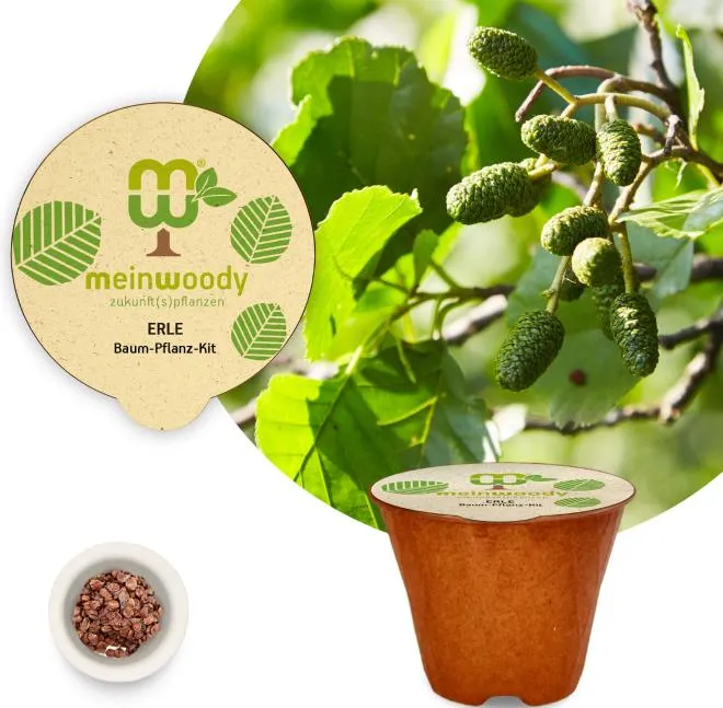 Erle Baum-Pflanz-Kit Pflanzkit Pflanzanleitung plastikfreier Pflanztopf