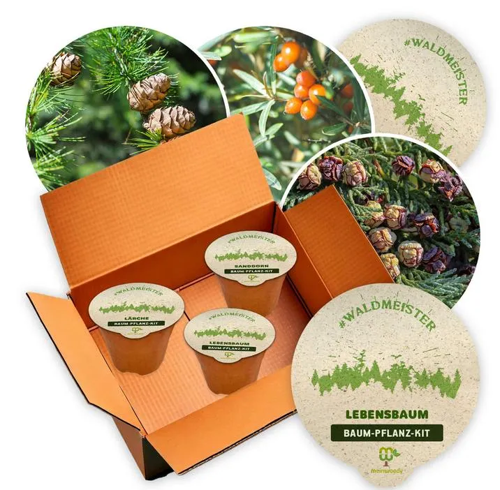 Baum-Pflanz-Kit "Waldmeister" je 1x Lärche Lebensbaum Sanddorn Pflanzkit plastikfrei
