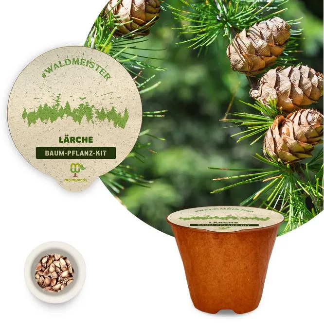 Baum-Pflanz-Kit "Waldmeister" je 1x Lärche Lebensbaum Sanddorn Pflanzkit plastikfrei