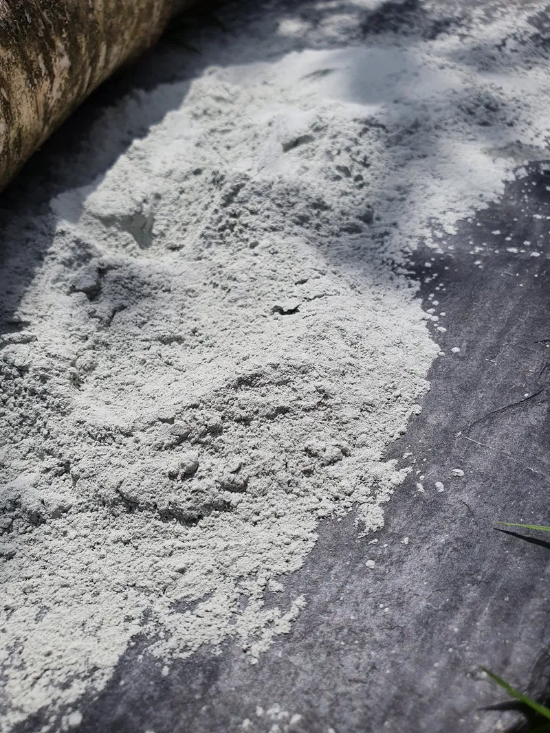 Urgesteinsmehl aus Franken Diabas Mineraldünger Bodenaktivator Staubbad 10 kg Eimer