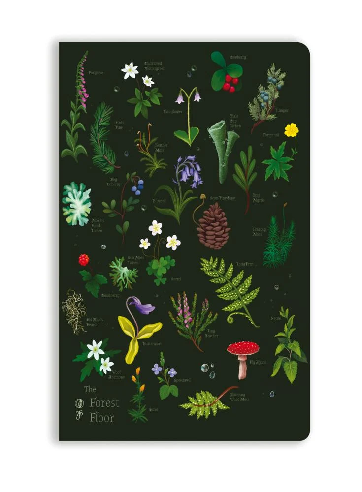 Anna Stead: The Forest Floor (Soft Touch Journal)