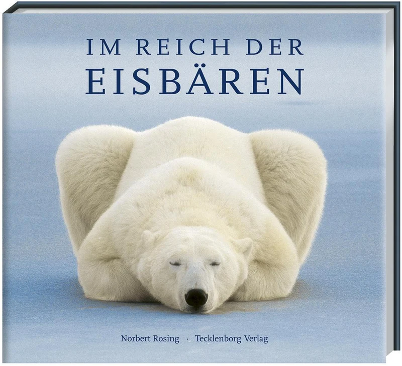 Eisbären