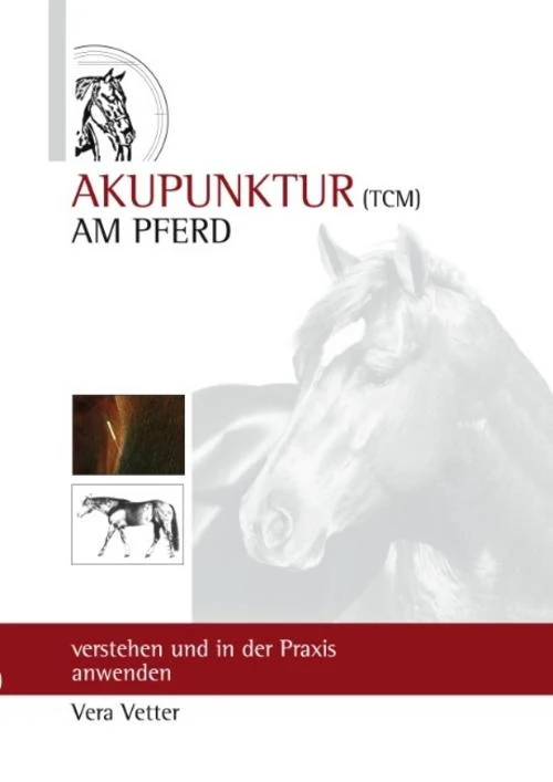 Akupunktur (TCM) am Pferd