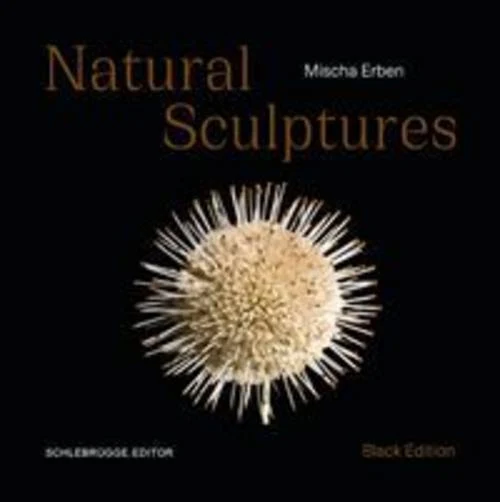 Mischa Erben - Natural Sculptures