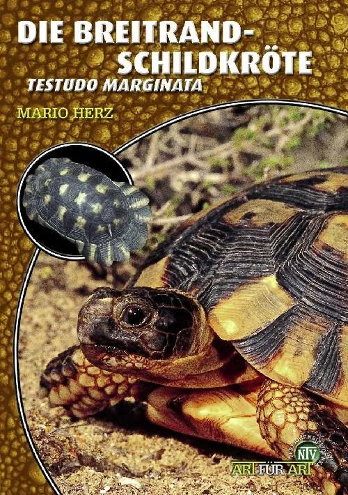 Die Breitrandschildkröte